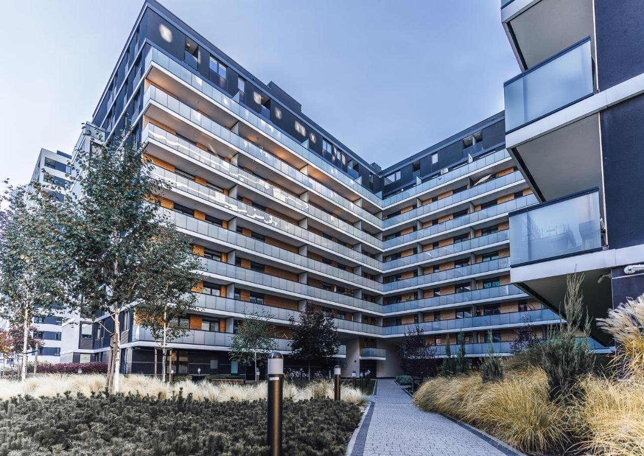 Apartment Pure - Gwiazdzista